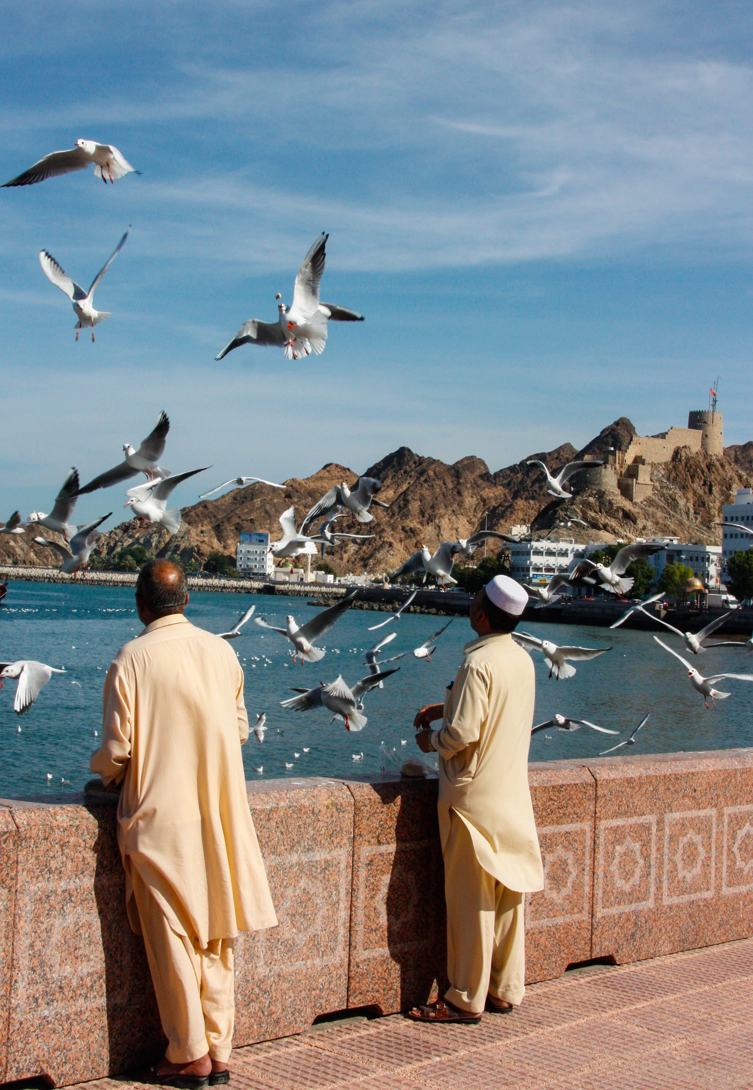 Arabic Zeal » Travel to Oman